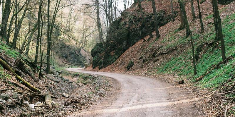 从车轮到园区：解码郑州物流枢纽的绿色革命——以盛世通物流为例