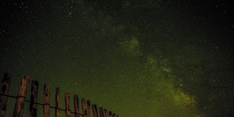 郑州物流人才破局之道：产教融合如何重塑整车与冷链运输技能生态