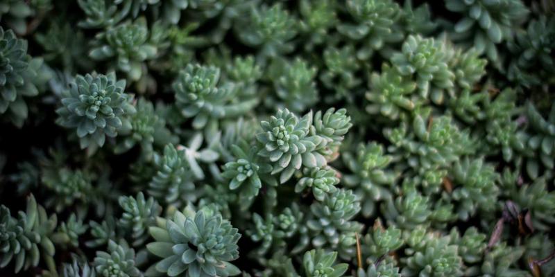 郑州物流人才缺口如何填补？聚焦零担配送，探索职业教育与河南物流公司的精准对接路径