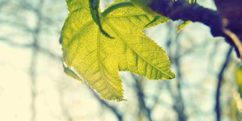 郑州物流地产投资新风口:高标仓需求井喷与现代化园区建设机遇深度解析